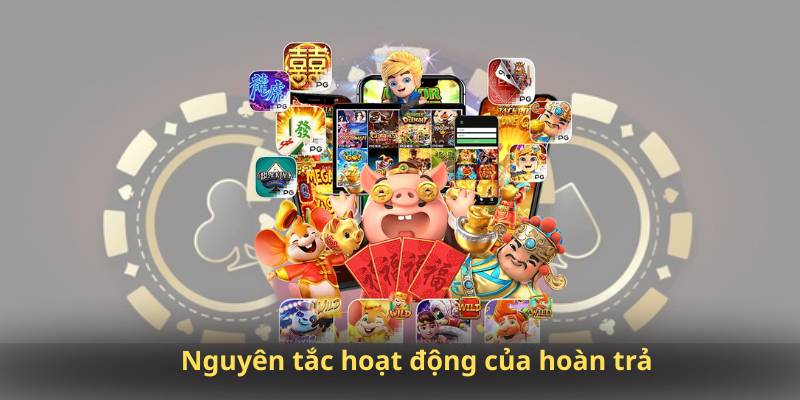 Nguyên tắc hoạt động của hoàn trả